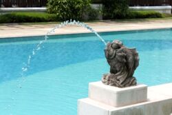 Freesia Woods (D21), Condominium #540941181